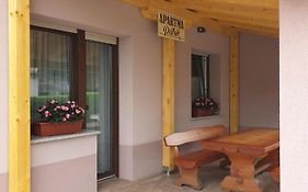 Apartma Patrik